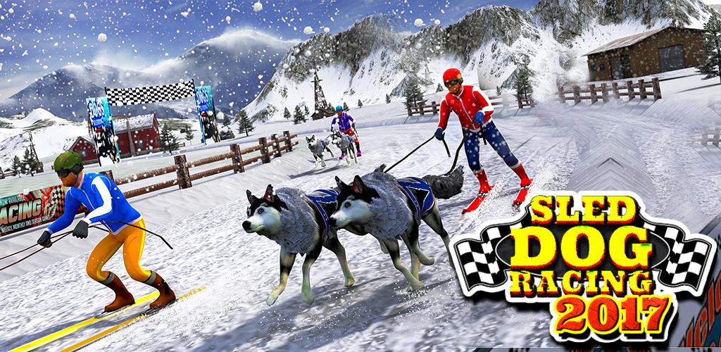 Sled Dog Racing 2017游戏截图