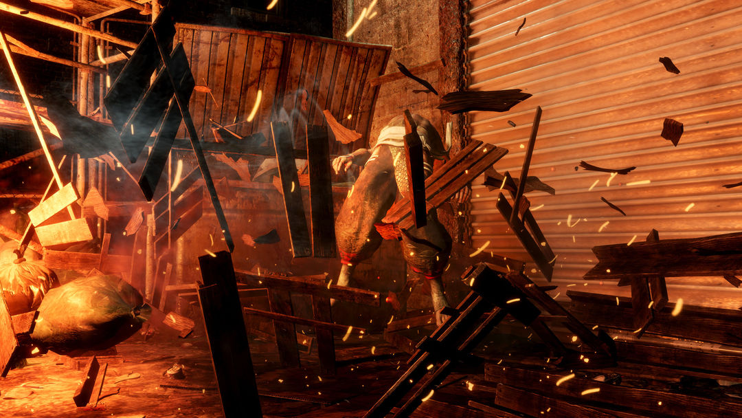 DEAD OR ALIVE 6游戏截图