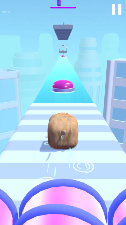 Fluffy Cat 3D游戏截图