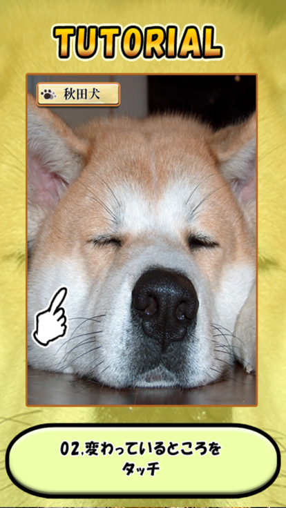 Brain Training - Aha dog picture book游戏截图