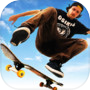 Skateboard Party 3icon