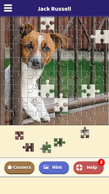 Jack Russell Puzzle游戏截图