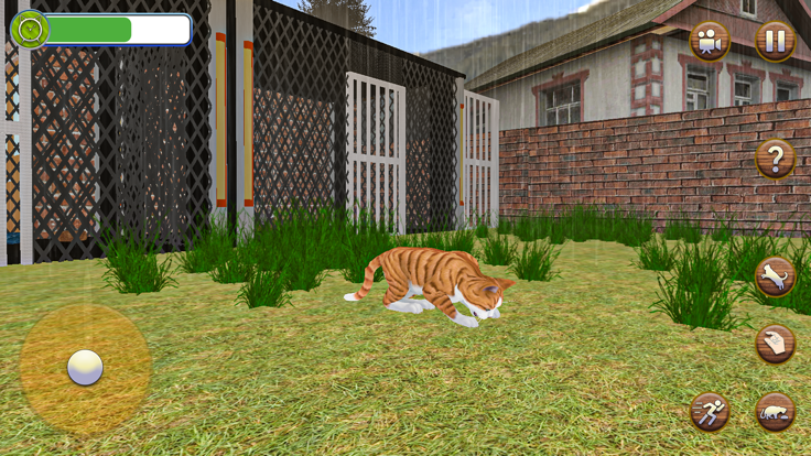 Animal Shelter Pet Cat Games游戏截图