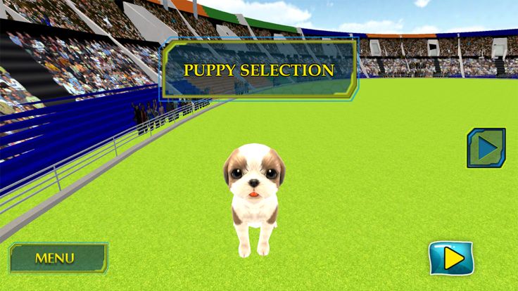 Puppy Show Simulator 3D游戏截图