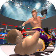 Ninja Punch Boxing Game