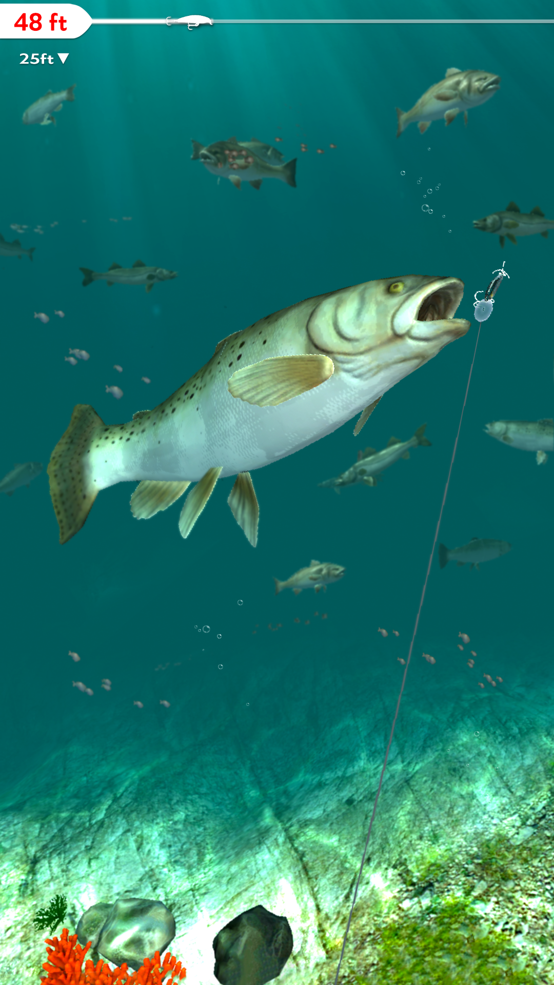 Rapala Fishing - Daily Catch游戏截图