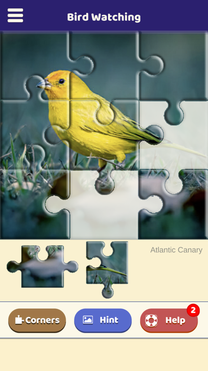 Bird Watching Puzzle游戏截图