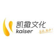 深圳凯撒网络科技有限公司