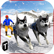 Sled Dog Racing 2017