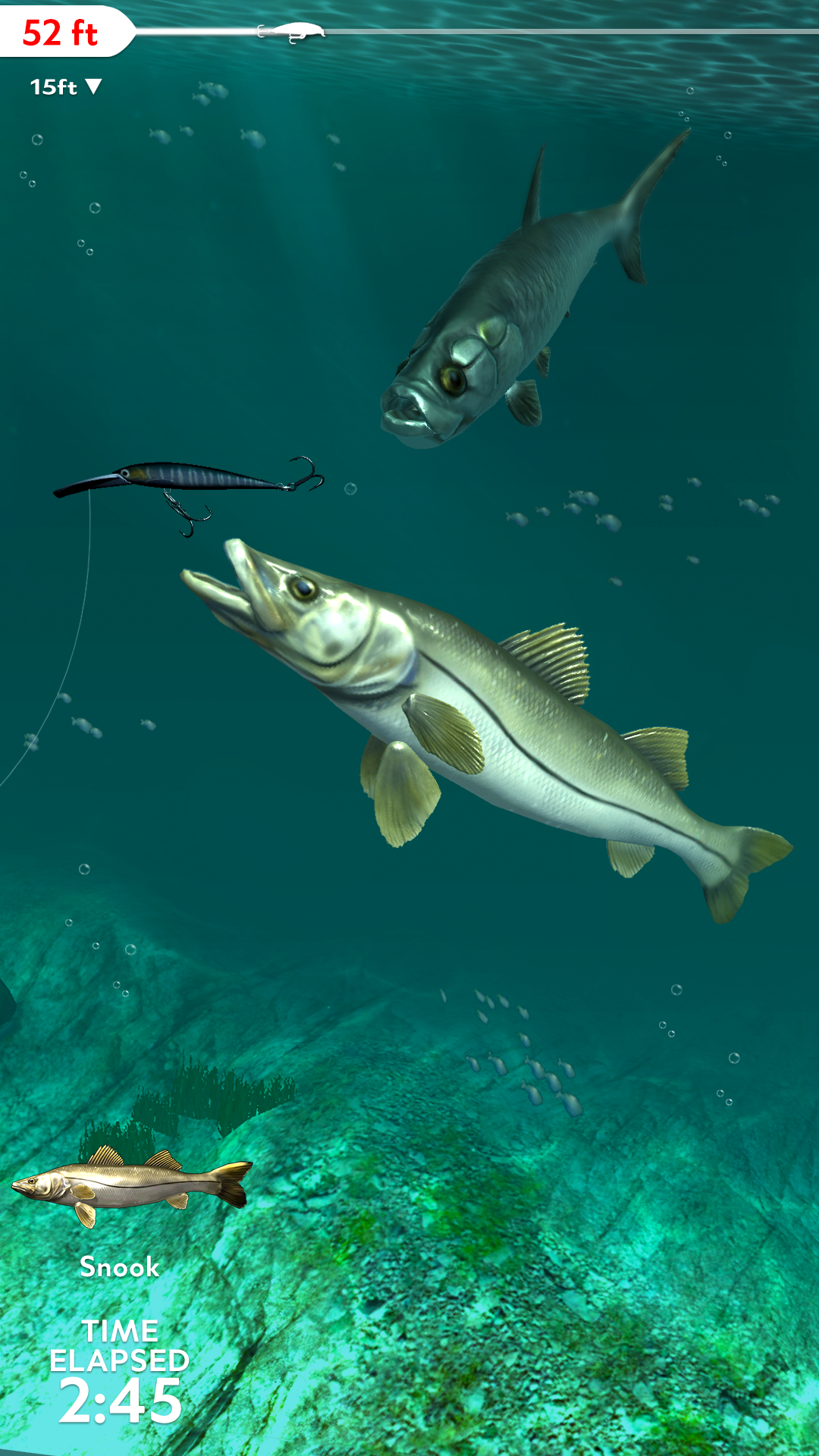 Rapala Fishing - Daily Catch游戏截图