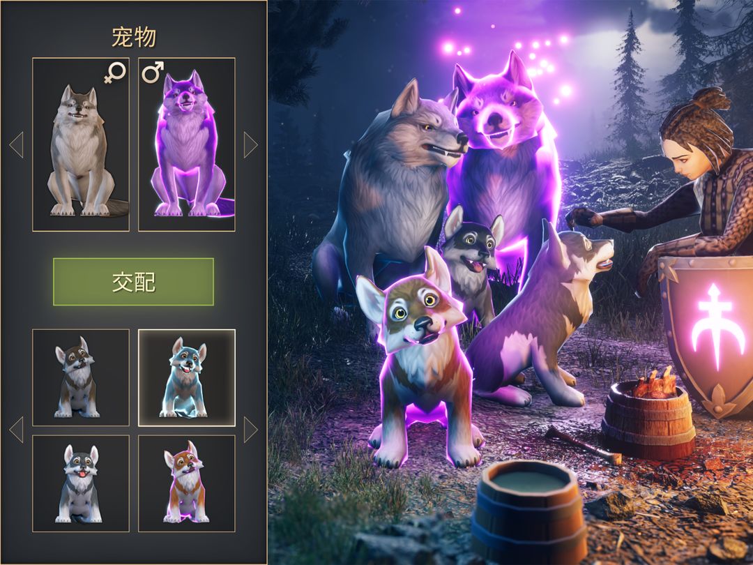 冷酷灵魂:黑暗幻想生存游戏游戏截图