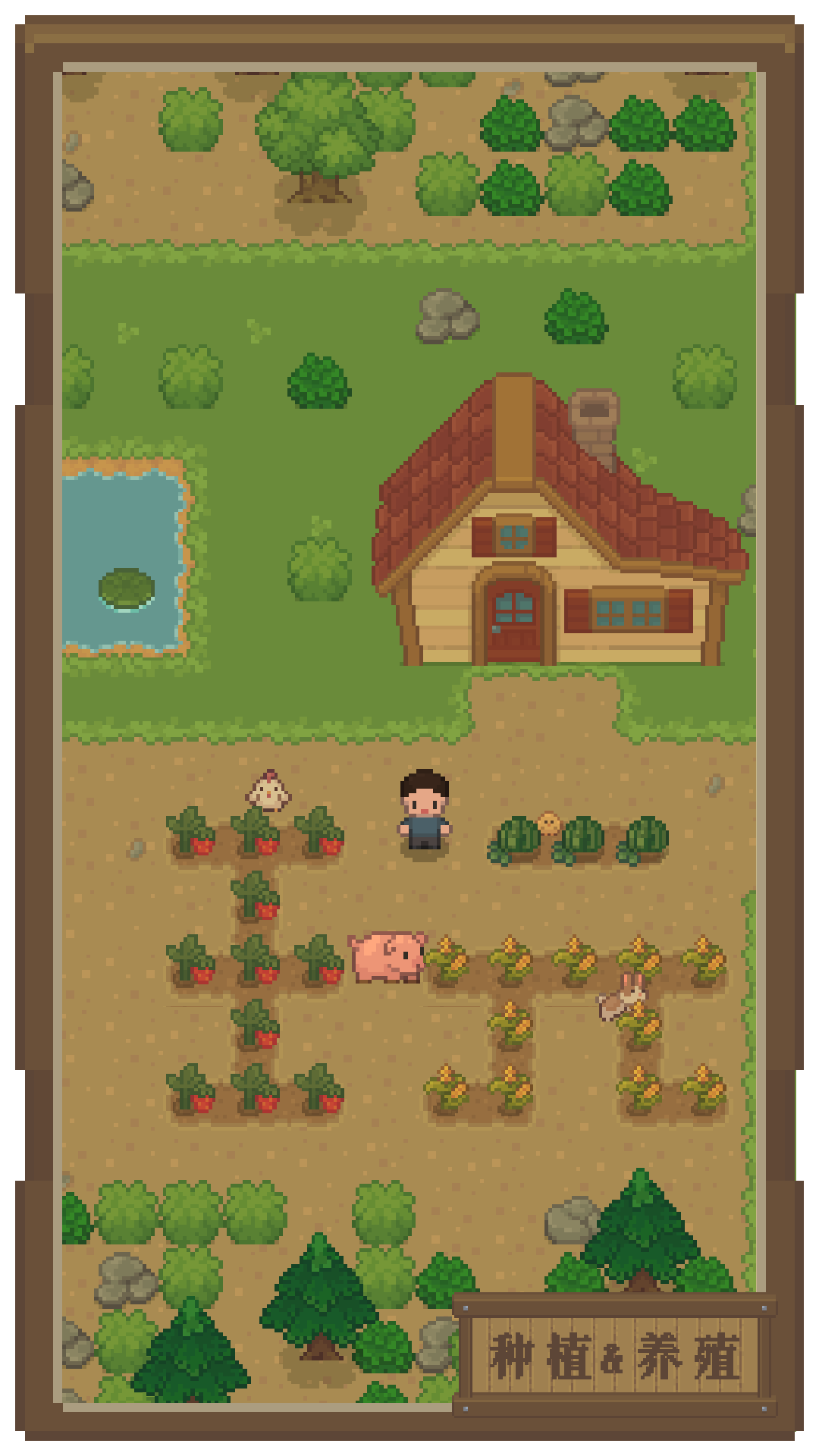 指尖小镇游戏截图