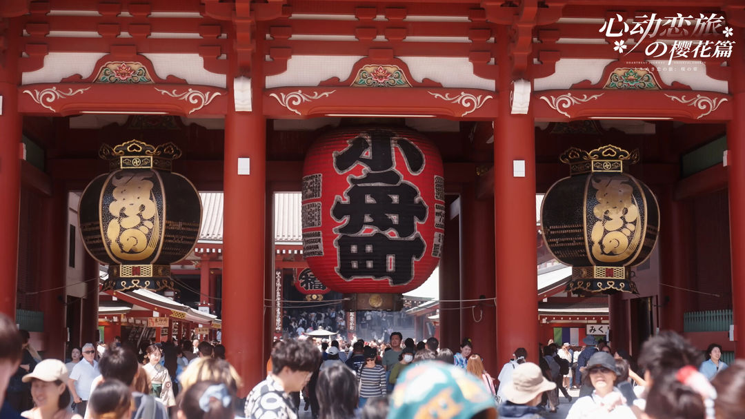 心动恋旅:樱花篇游戏截图