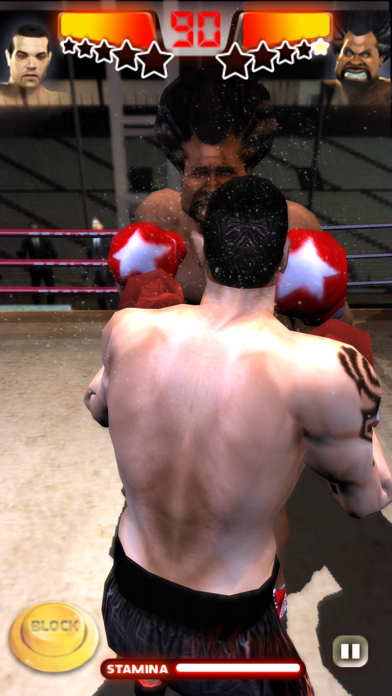 Iron Fist Boxing游戏截图