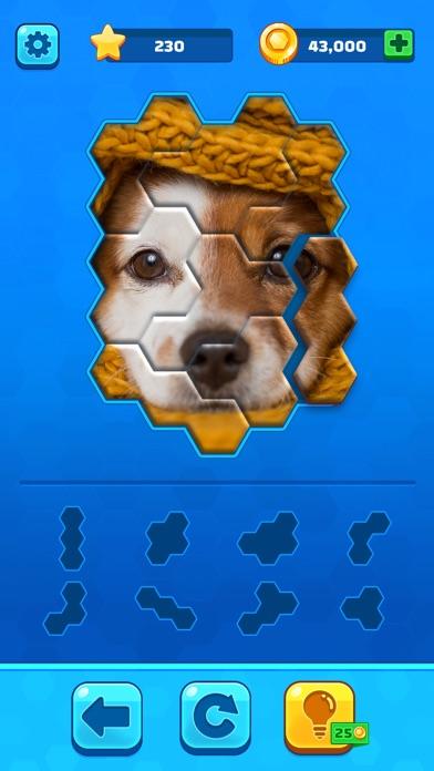 Hexa Jigsaw Puzzle ®游戏截图