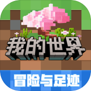 我的世界