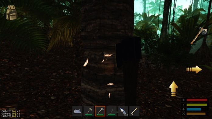 Survive: The Lost Lands游戏截图