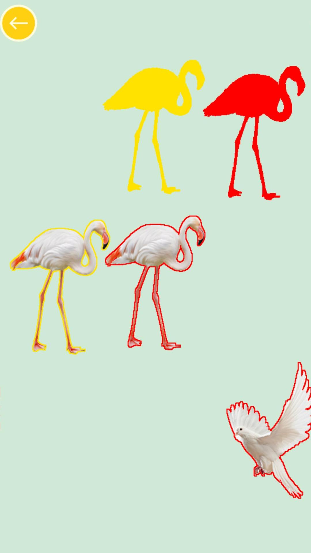 Kids Animal Color游戏截图