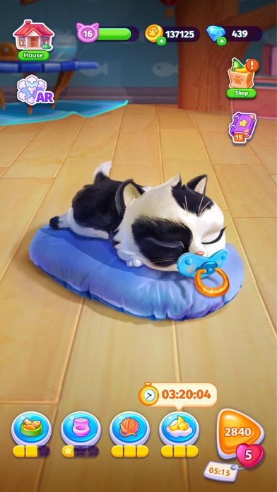 My Cat - 猫咪游戏 ⋆ 电子宠物游戏截图