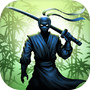 Ninja warrior: legend of advenicon