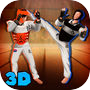 Taekwondo Sports Fighting Cup 3Dicon