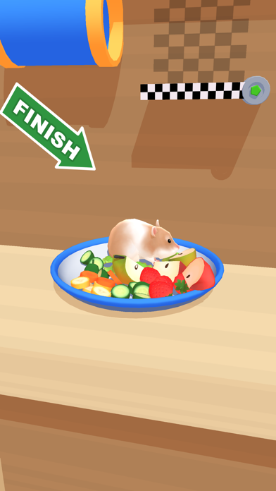 Hamster Maze游戏截图