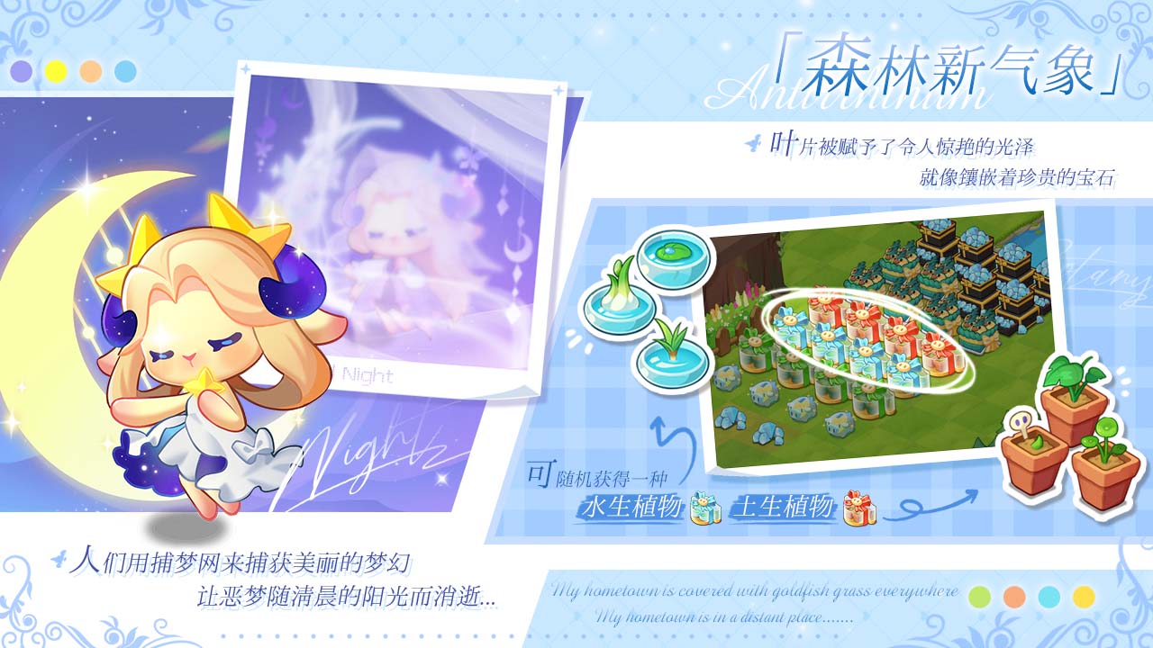 星月换新衣&民宿专属植物上新