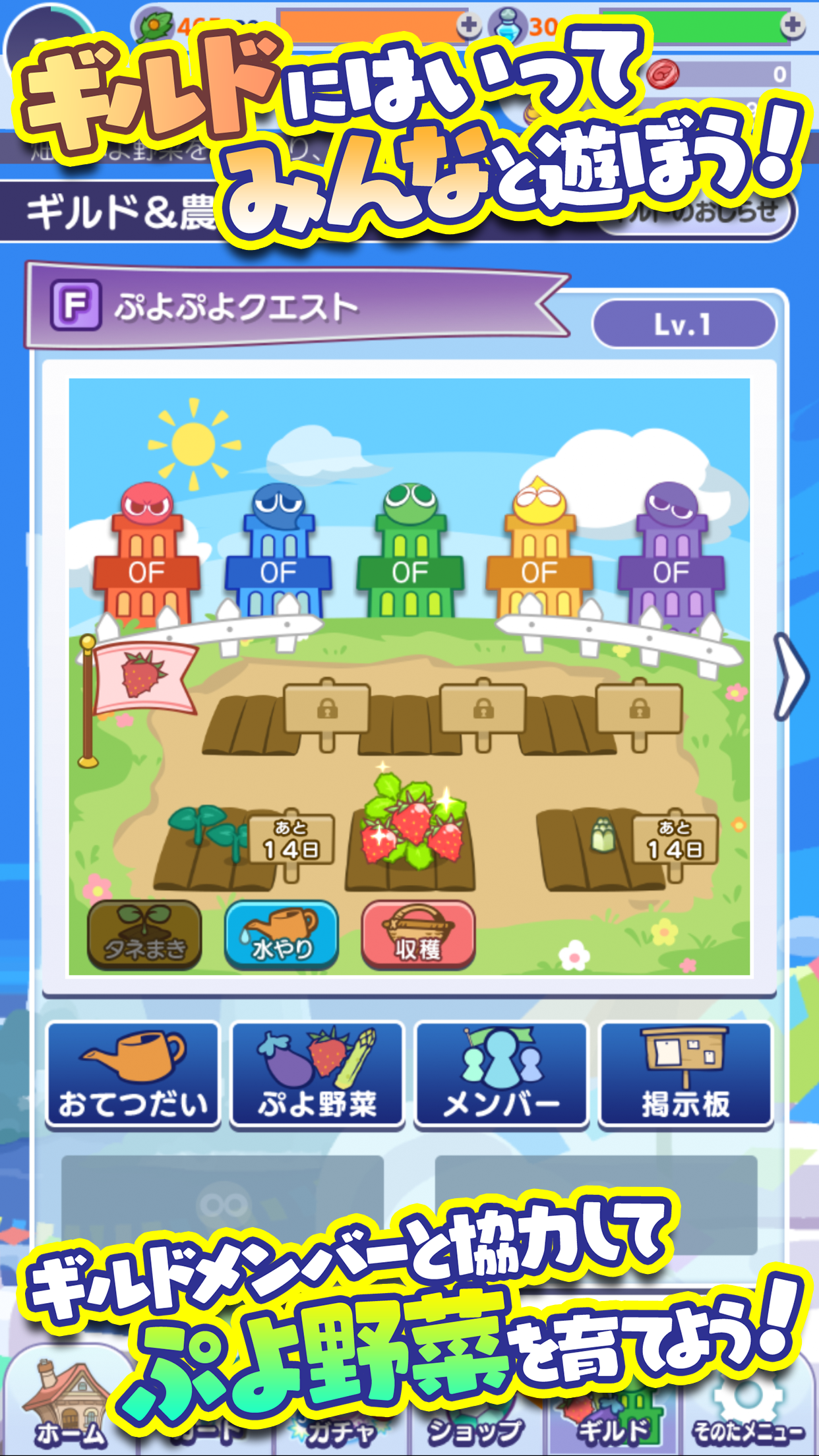 ぷよぷよ クエスト 簡単操作で大連鎖 爽快 パズル 遊戲下載 Taptap