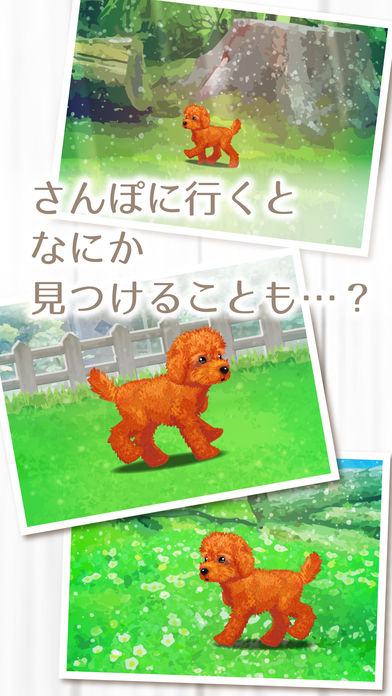My Dog Life -Toy Poodle Edition-游戏截图