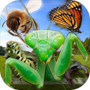 Insect Race