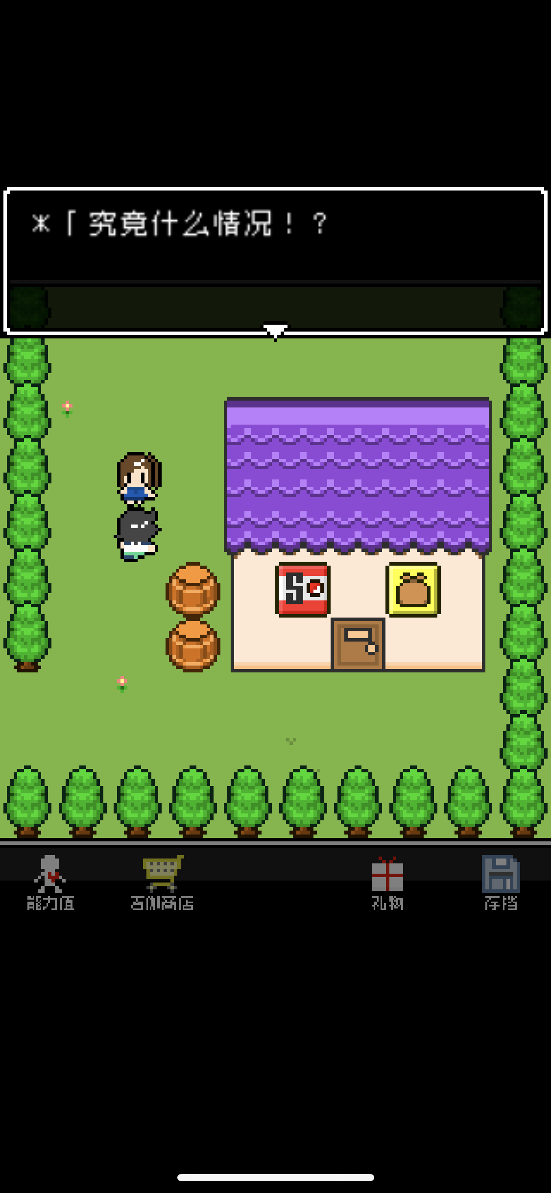 那家伙是四天王之中最有钱的游戏截图