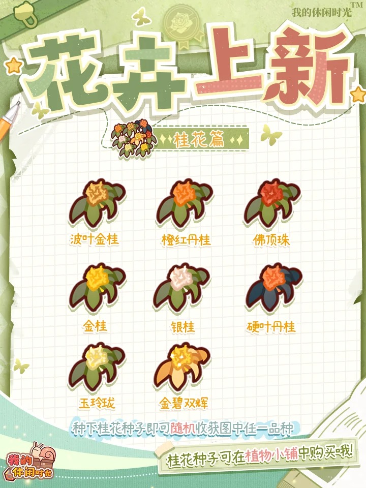 全新土培&水培植物