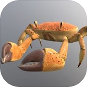 Crab Run