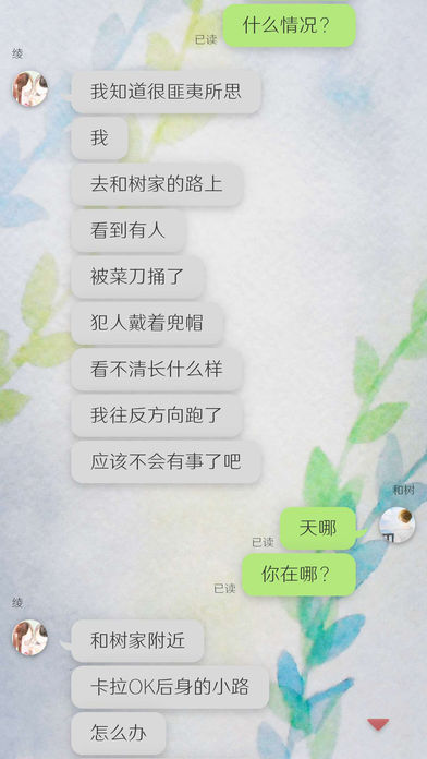 我的女友 在被人追赶游戏截图