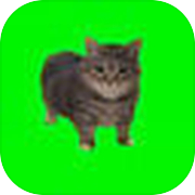 SpinningCat