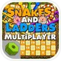 Snakes And Ladders Multiplayericon