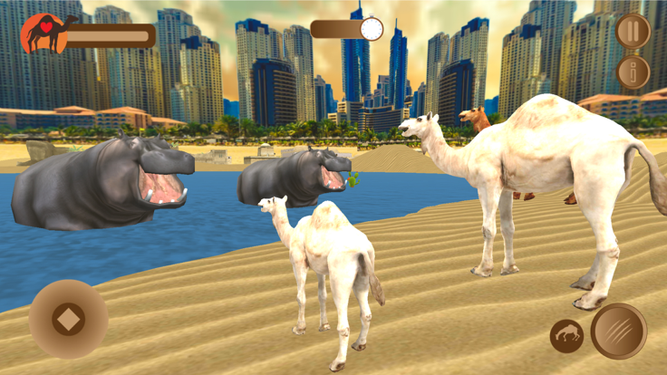 Dubai Desert Camel Simulator游戏截图