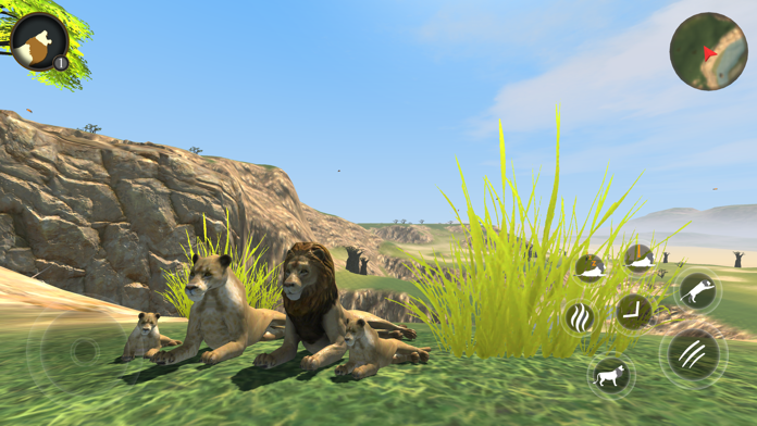 野生狮子生存模拟器游戏截图