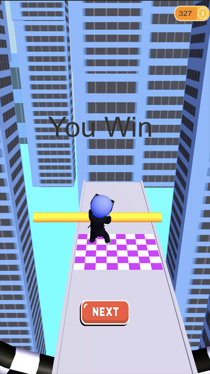 Slide Roof Rails : Fun Game !游戏截图