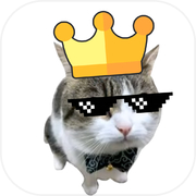 Cool Cat Tennis
