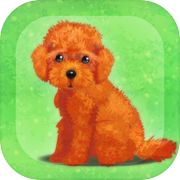 My Dog Life -Toy Poodle Edition-