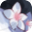 魔法少女的魔女审判