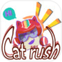 CatRushicon