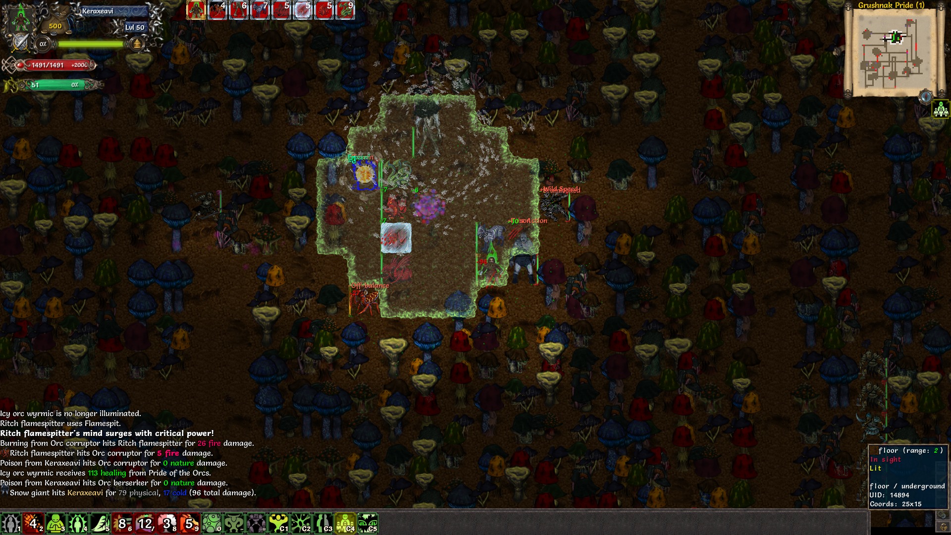 Tales of Maj'Eyal游戏截图