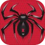 蜘蛛接龙游戏icon