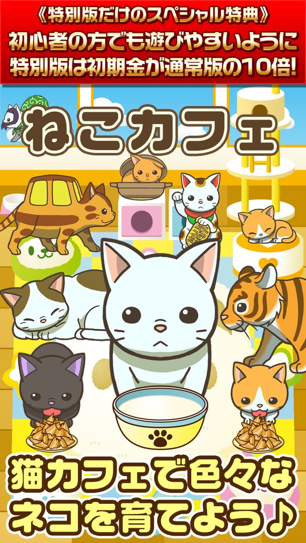 Screenshot of ねこカフェ★特別版★~猫を育てる楽しい育成ゲーム~