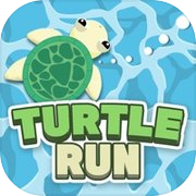 Turtle run!!