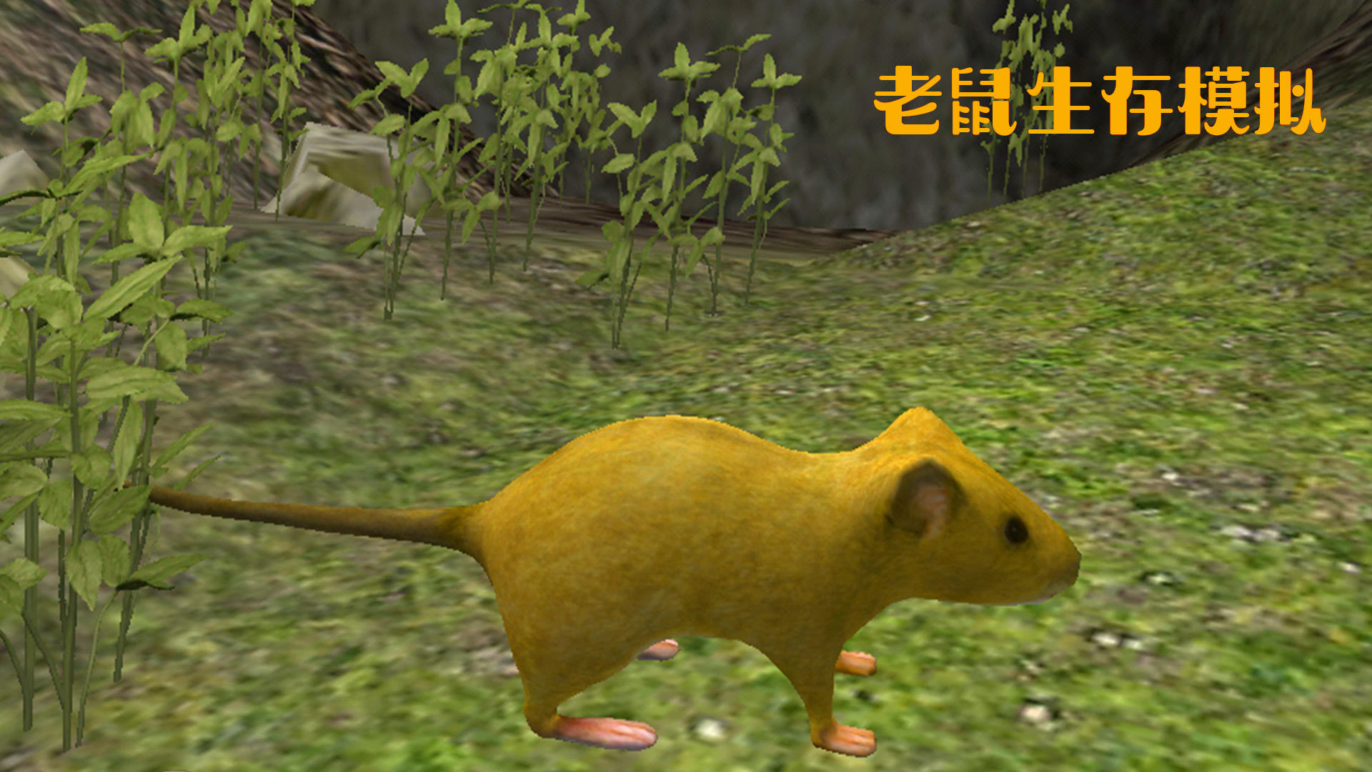老鼠生存模拟游戏截图