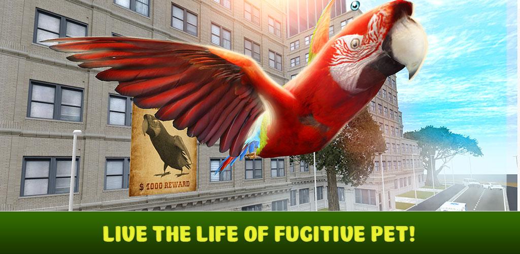 City Bird Parrot Simulator 3D游戏截图