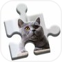 British Shorthair Puzzleicon